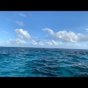 Meet your Posher, Briana